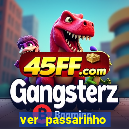 ver passarinho morto significado espiritual
